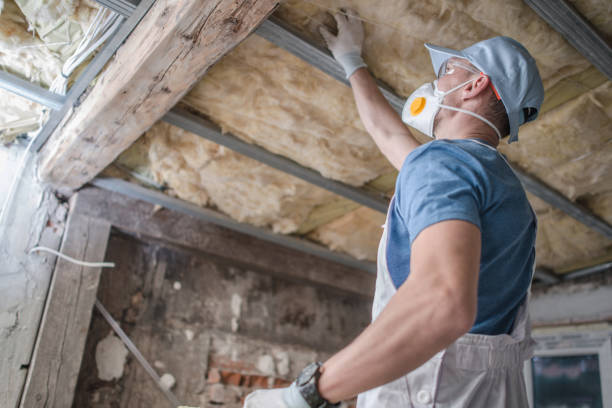 Types of Insulation We Offer in Susan Moore, AL
