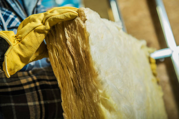 Best Geographic-Specific Insulation Services in Susan Moore, AL