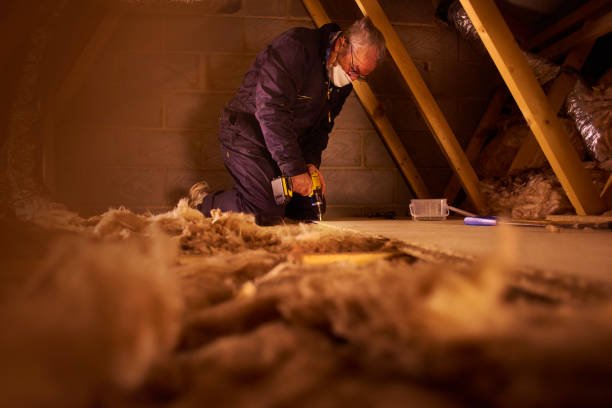 Types of Insulation We Offer in Susan Moore, AL